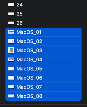 Mac 系統內建批次更改檔名 一次修改多個檔名